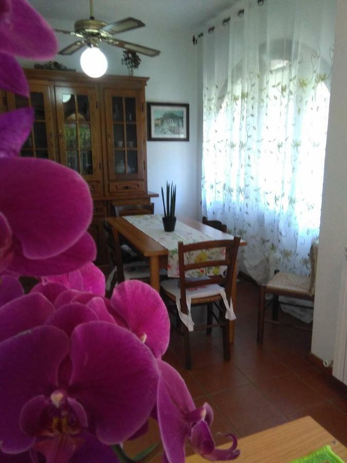 Appartamento Orchidea Монтемерано Екстериор снимка